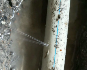 滑县卫生间测漏水多少钱
