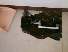 滑县卫生间测漏水多少钱